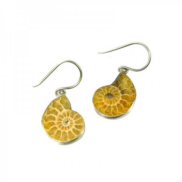 Ammonite earrings